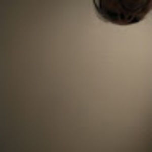 Meet your Posher, Lavonda